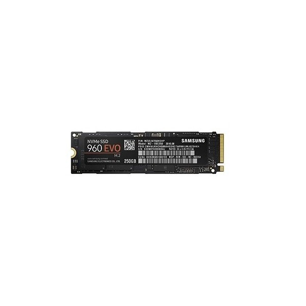 Samsung SSD Interne 960 EVO (250 Go) - MZ-V6E250BW
